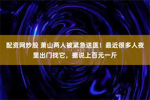 配资网炒股 萧山两人被紧急送医！最近很多人夜里出门找它，据说上百元一斤
