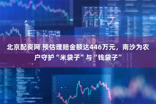 北京配资网 预估理赔金额达446万元，南沙为农户守护“米袋子”与“钱袋子”